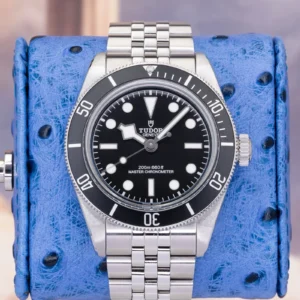 2024 Tudor Black Bay 41 Monochrome Master Chronometer 7941A1A0NU Full Set